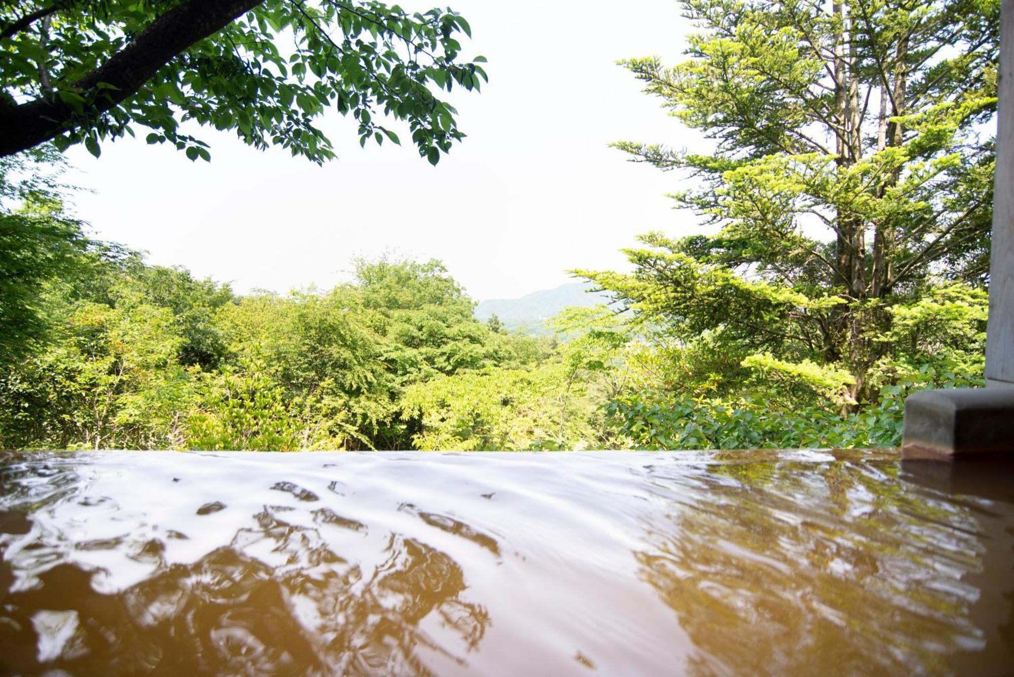 Hotel Arima Onsen Motoyu Ryuusenkaku Kōbe Camera foto